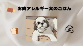 食物アレルギー犬も安心！影ろうくんがモグワンを試してみようと思った理由 