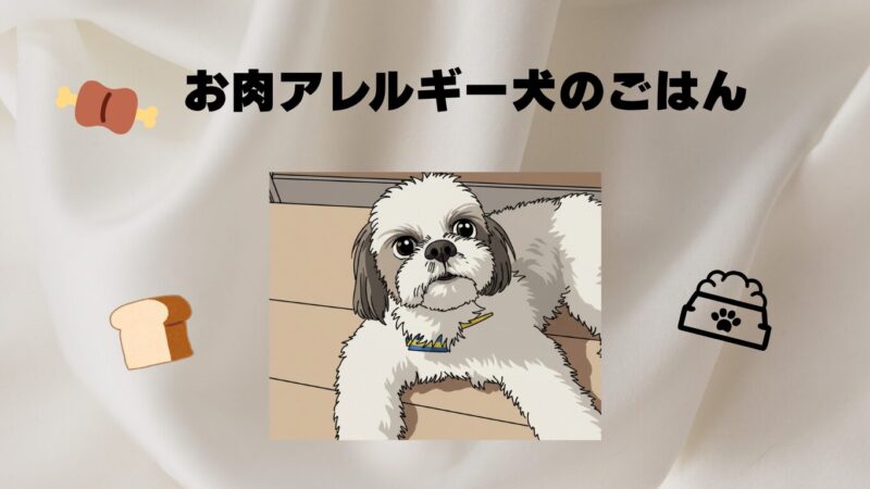 食物アレルギー犬も安心！影ろうくんがモグワンを試してみようと思った理由 