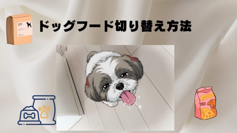 アレルギー犬のドッグフード切り替え方と注意点！安全にドッグフードを試す方法 