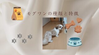 モグワンの種類と選び方！アレルギーの愛犬に安心なフード選びのコツ 