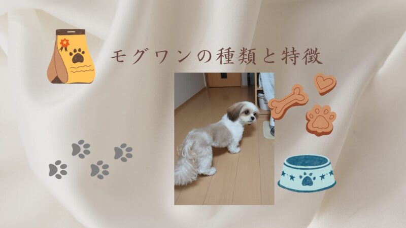 モグワンの種類と選び方！アレルギーの愛犬に安心なフード選びのコツ 